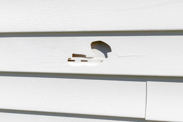 Best Insulated Siding Installation  in Bellevue, WI