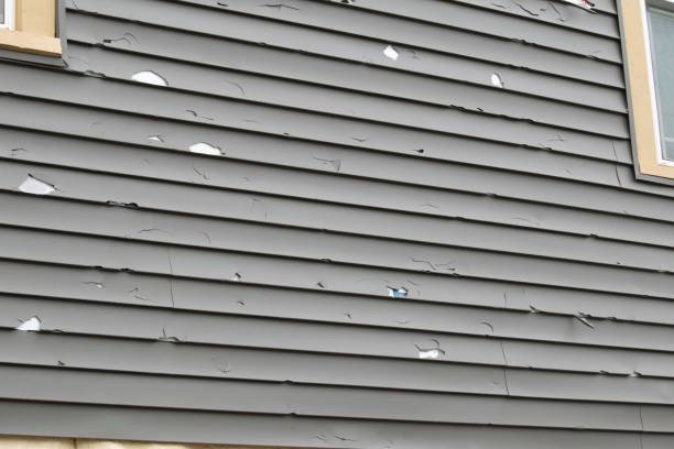 Best Brick Veneer Siding  in Bellevue, WI